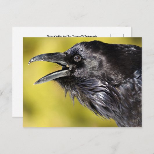 Raven Calling Postkarte (Vorne/Hinten)