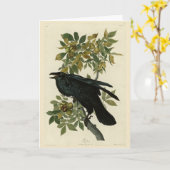 Raven (Common Raven) von Audubon Birds of America Karte (Gelbe Blume)