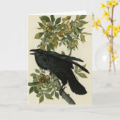 Raven (Common Raven) von Audubon Birds of America Karte (Gelbe Blume)