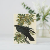 Raven (Common Raven) von Audubon Birds of America Postkarte (Stehend Vorderseite)
