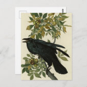 Raven (Common Raven) von Audubon Birds of America Postkarte (Vorne/Hinten)