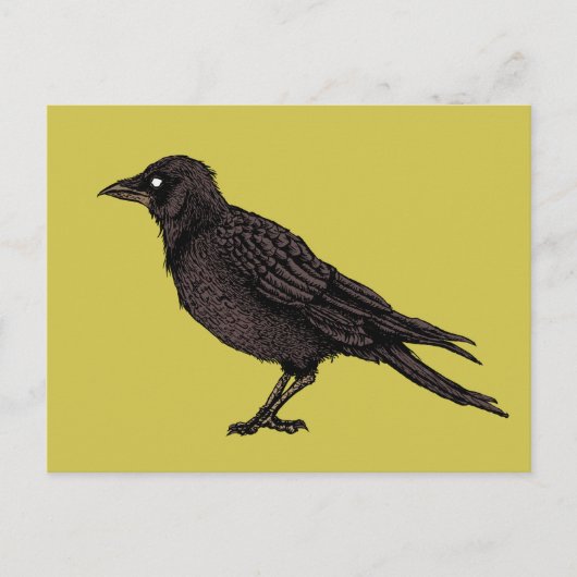 Raven Creepy Crow Bright Gothic Ink Art Postkarte (Vorderseite)