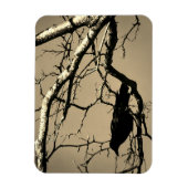 Raven Crow Black Bird Silver Tree Photo Magnet (Vertikal)