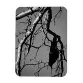 Raven Crow Black Bird Silver Tree Photo Magnet (Vertikal)