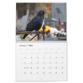 Raven Crow Calendar 2025 Kalender (Jan 2026)
