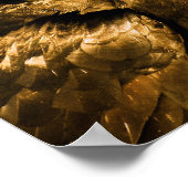 Raven Crow Gothic Fantasy Black Bird Nature Poster (Ecke)