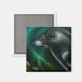 RAVEN CROW NORDLICHTS MAGNET (Vorderseite/Rückseite)