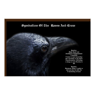 Raven Crow Symbolismus Poster
