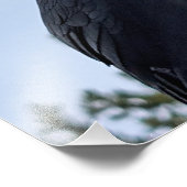 Raven Fotodruck (Ecke)