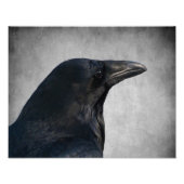 Raven Glamour Shot Fotodruck (Vorne)