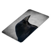 Raven Glamour Shot Magnet (Linke Seite)