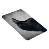 Raven Glamour Shot Magnet (Rechte Seite)
