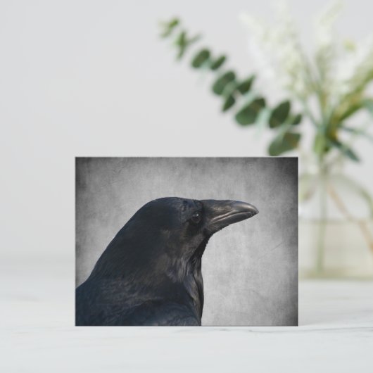 Raven Glamour Shot Postkarte (Stehend Vorderseite)
