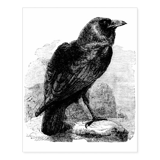 Raven Gummistempel (Prägung)