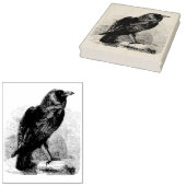 Raven Gummistempel (Stempel)