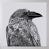 Raven Illustration Poster (Vorne)