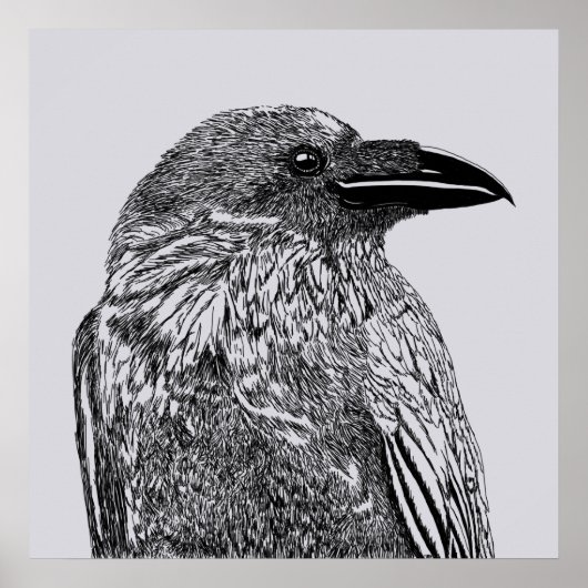 Raven Illustration Poster (Vorne)
