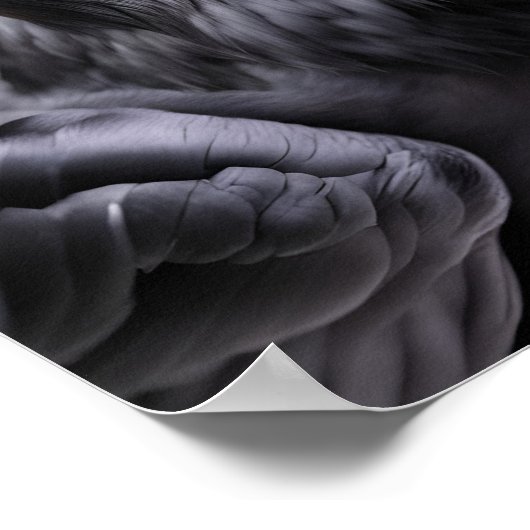 Raven in einer Weihnachtsmannmütze Poster (Ecke)