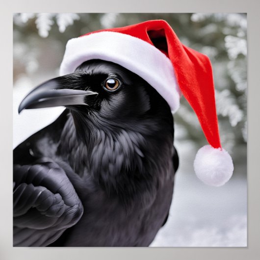 Raven in einer Weihnachtsmannmütze Poster (Vorne)