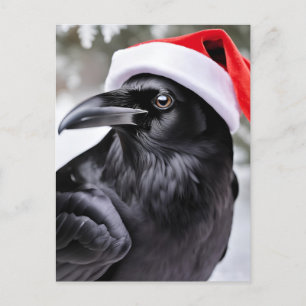 Raven in einer Weihnachtsmannmütze Postkarte