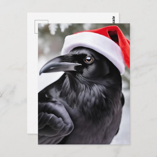 Raven in einer Weihnachtsmannmütze Postkarte (Vorne/Hinten)