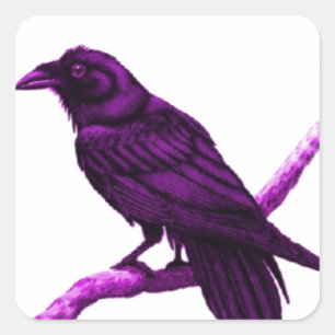 Raven in Lila Geschenken von Sharles Quadratischer Aufkleber
