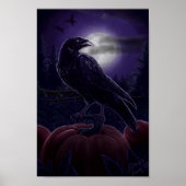 Raven in Pumpkin Patch Poster (Vorne)