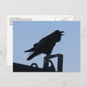 Raven in Silhouette, Insel Unalaska Postkarte (Vorne/Hinten)