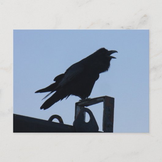 Raven in Silhouette, Insel Unalaska Postkarte (Vorderseite)