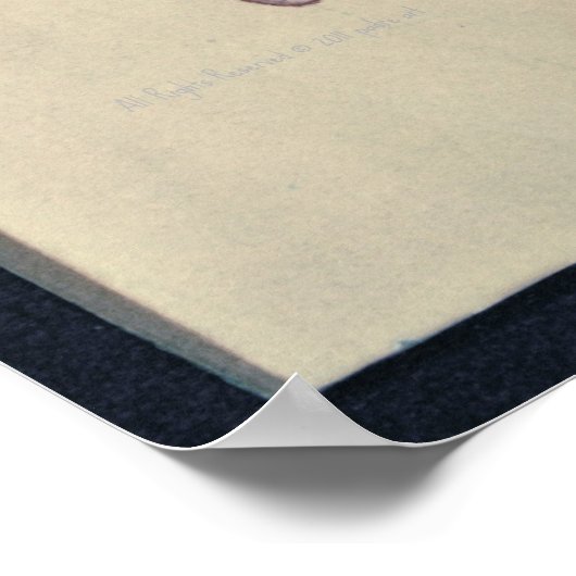 Raven in Snow Poster (Ecke)