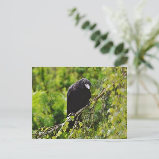 Raven in Tree Postcard Postkarte (Stehend Vorderseite)