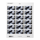 Raven Labels Adressaufkleber (Vorne)