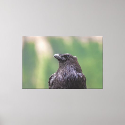 Raven Leinwanddruck (Vorderseite)