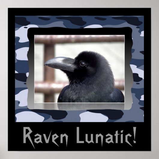 Raven Lunatic! Poster (Vorne)