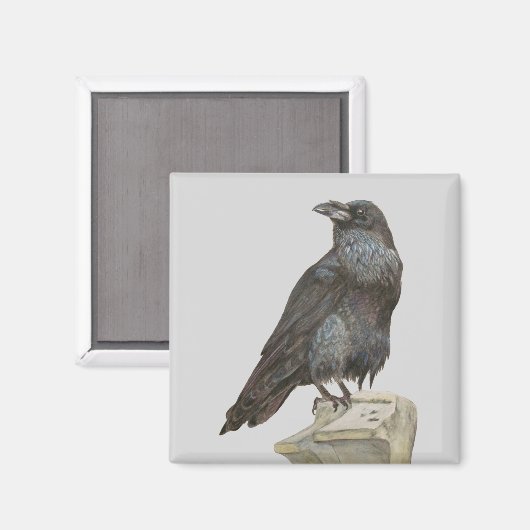 Raven Magnet (Vorderseite/Rückseite)