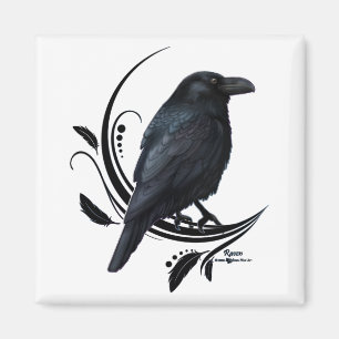 Raven Magnet