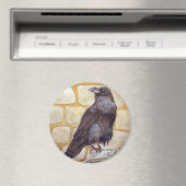 Raven Magnet (In Situ (Geschirrspüler))