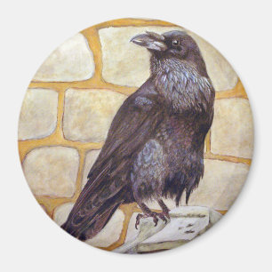 Raven Magnet