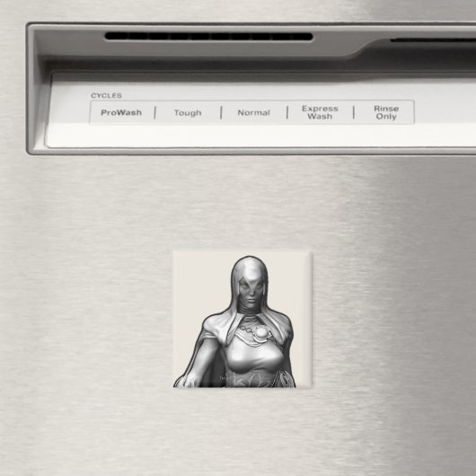 Raven Magnet (In Situ (Geschirrspüler))