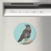 Raven Magnet (In Situ (Geschirrspüler))