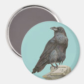 Raven Magnet (Vorderseite/Rückseite)
