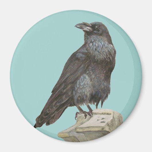 Raven Magnet (Vorne)