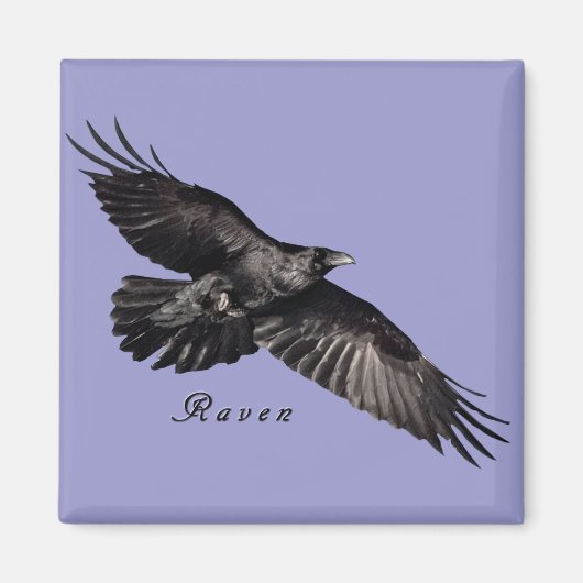 Raven Magnets Magnet (Vorne)