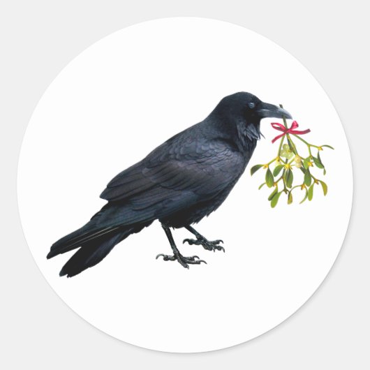Raven mit Mistletoe Stickers (Vorderseite)