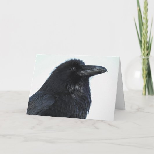 Raven Notecard Karte (Vorderseite)