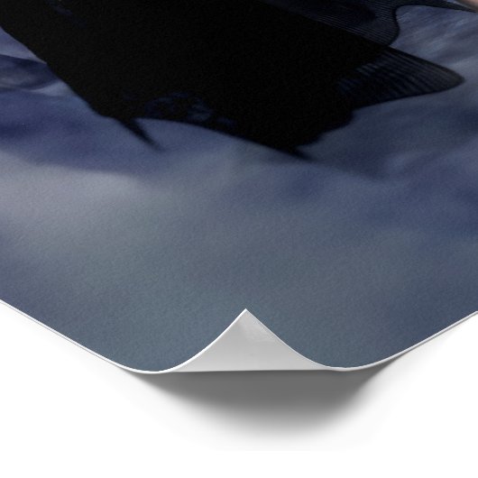 Raven of the Night Poster/Canvas Print Poster (Ecke)