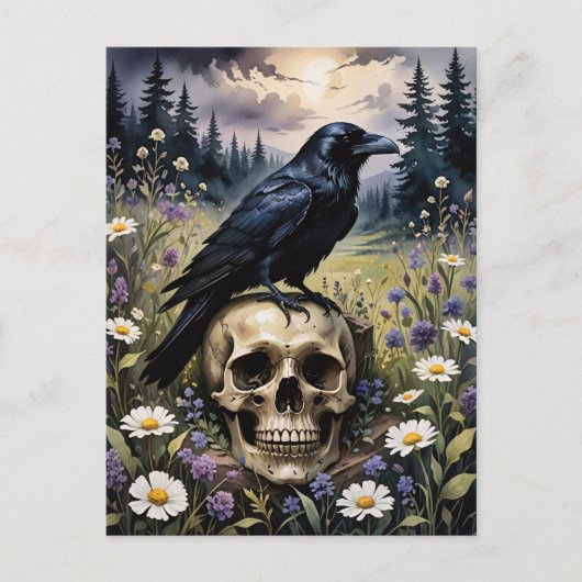 Raven on a Skull Postkarte (Vorderseite)