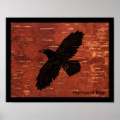 Raven on Inner Birch Bark Poster (Vorne)