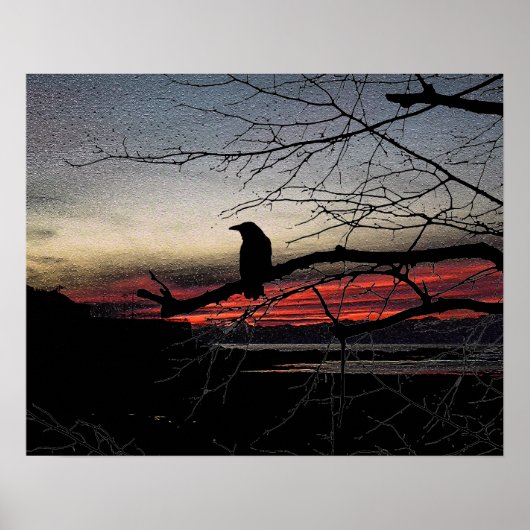 Raven on the Tree on Sunset Poster (Vorne)