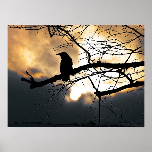 Raven on the Tree Poster (Vorne)